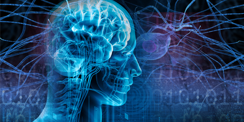 neurofiziol